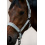 Eskadron ESKADRON DOUBLE PIN HEADCOLLAR CLASSIC SPORTS