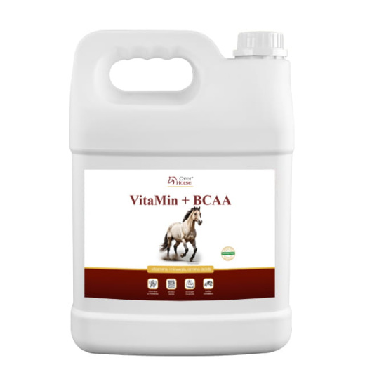 OVER HORSE HORSE RACING SYRUP 5L VITAMINE UND MINERALSTOFFE - 1 in der Kategorie: Pferdepflege