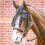 Busse BUSSE HORSE FLYSTRING BROWBAND VISBY II