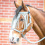 Busse BUSSE HORSE FLYSTRING BROWBAND VISBY II