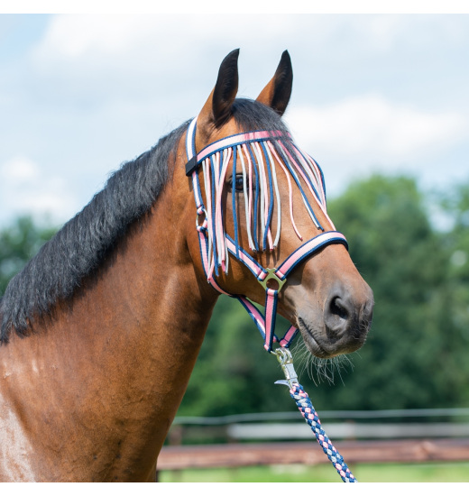 BUSSE HORSE FLYSTRING BROWBAND VISBY II