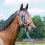 Busse BUSSE HORSE FLYSTRING BROWBAND VISBY II