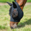 Busse BUSSE HORSE FLY MASK TWIN FIT FLEXI