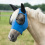 Busse BUSSE HORSE FLY MASK TWIN FIT FLEXI