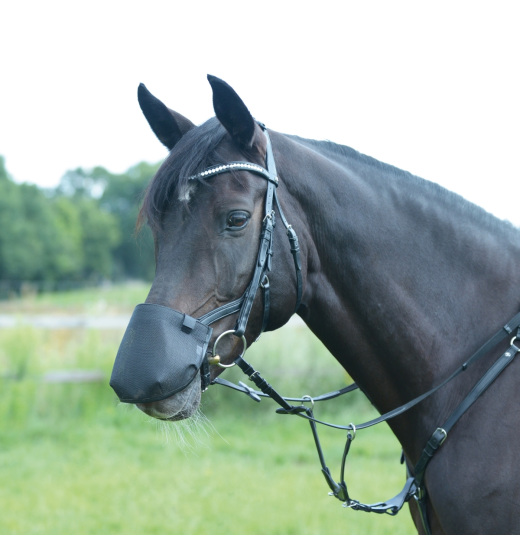 BUSSE NOSTRIL COVER FOR HORSE FLY PROFESSIONAL ANATOMIC