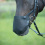 Busse BUSSE NOSTRIL COVER FOR HORSE FLY PROFESSIONAL ANATOMIC