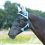 BUSSE HORSE FLY MASK FLY COVER PRO GAP II