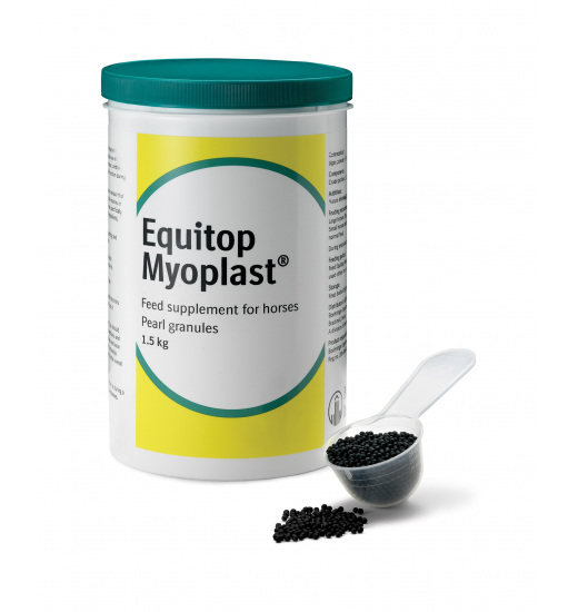 MYOPLAST EQUITOP SPECIAL FEED SUPPLEMENT FOR HORSES - 1 in category: care for horse riding