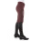 Equishop EQUISHOP TEAM WOMEN'S SOFTSHELL FULL SILICONE GRIP BREECHES BURGUNDY