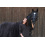 Eskadron ESKADRON COSY HORSE SWEAT RUG PLATINUM