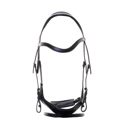 EQUISHOP TEAM ANATOMICAL RIDING BRIDLE WITH FLASH