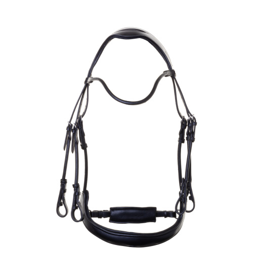 EQUISHOP TEAM ANATOMICAL DOUBLE BRIDLE FOR HORSE