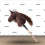 HORSE ON A STICK HOBBY HORSE EQUISHOP CZEKOLADEK A4