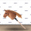 HORSE ON A STICK HOBBY HORSE EQUISHOP PĄCZEK A3