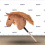 HORSE ON A STICK HOBBY HORSE EQUISHOP SZARLOTEK A4