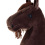 HORSE ON A STICK HOBBY HORSE EQUISHOP TRUFELKA A3