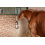 KERBL HORSE TOY BEAR 40 CM