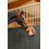 KERBL HORSE TOY FOX 40 CM