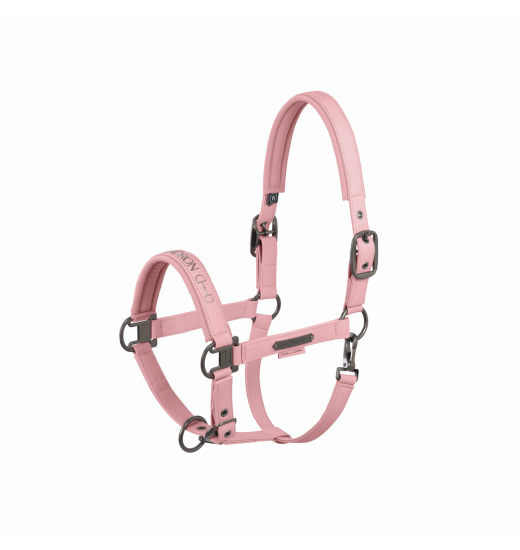 ESKADRON FAUX LEATHER DOUBLE PIN HEADCOLLAR PLATINUM