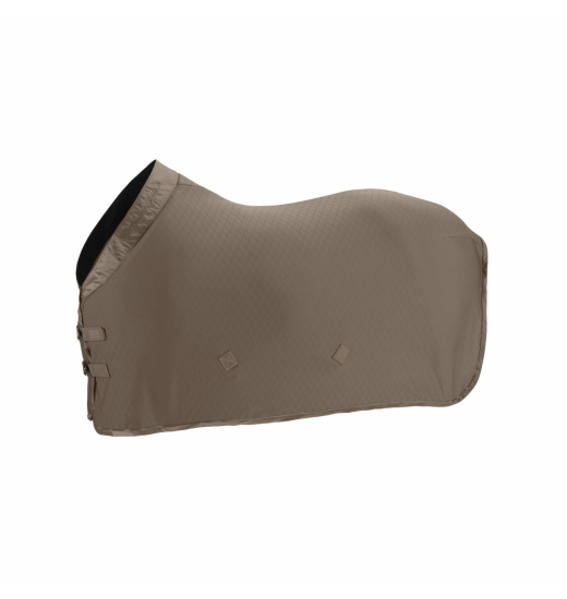 ESKADRON AERIAL JERSEY HORSE SWEAT RUG PLATINUM