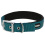KERBL KERBL COLLAR FOR DOG MIAMI PLUS TURQUOISE 45-53 CM