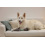 KERBL KERBL DOG TOY WILD BOAR 56 CM