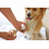 MAGIC BRUSH NAIL SCISSORS FOR DOG AND CAT