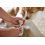 MAGIC BRUSH NAIL SCISSORS FOR DOG AND CAT