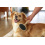 Magic Brush MAGIC BRUSH UNDERCOAT BRUSH 21 CM