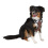 KERBL KERBL DOG HARNESS PULSIVE BROWN WITH REFLECTIVE STRIPS 72-96 CM
