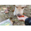 CAN AGRI CAN AGRI DOG TREAT ROLLSY MINI DUCK RINGS