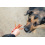 CAN AGRI CAN AGRI DOG TREAT RABBIT STRIPS