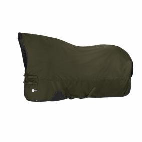 ESKADRON BETA 150 TURNOUT RUG FOR HORSE DYNAMIC