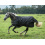 BUCAS HORSE TURNOUT RUG IRISH TURNOUT 50