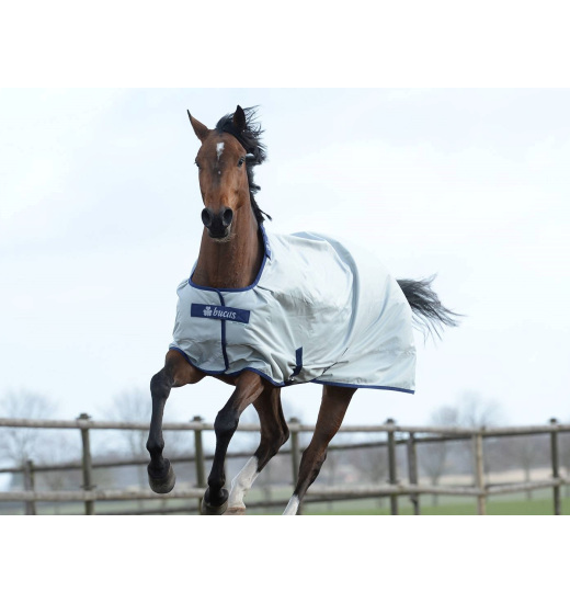 Bucas BUCAS HORSE TURNOUT RUG POWER TURNOUT LIGHT 0