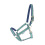 BUCAS DUBLIN PADDED HORSE HALTER