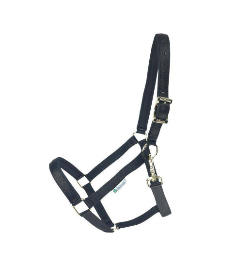 Bucas BUCAS DUBLIN PADDED HORSE HALTER