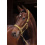 ESKADRON FAUX LEATHER DOUBLE PIN HORSE HEADCOLLAR HERITAGE