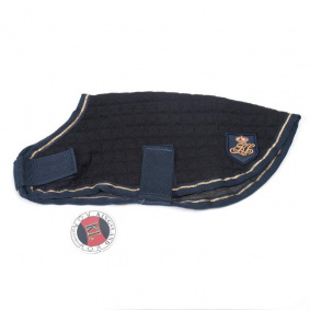 DOG RUG - 1 in category: Dog for horse riding