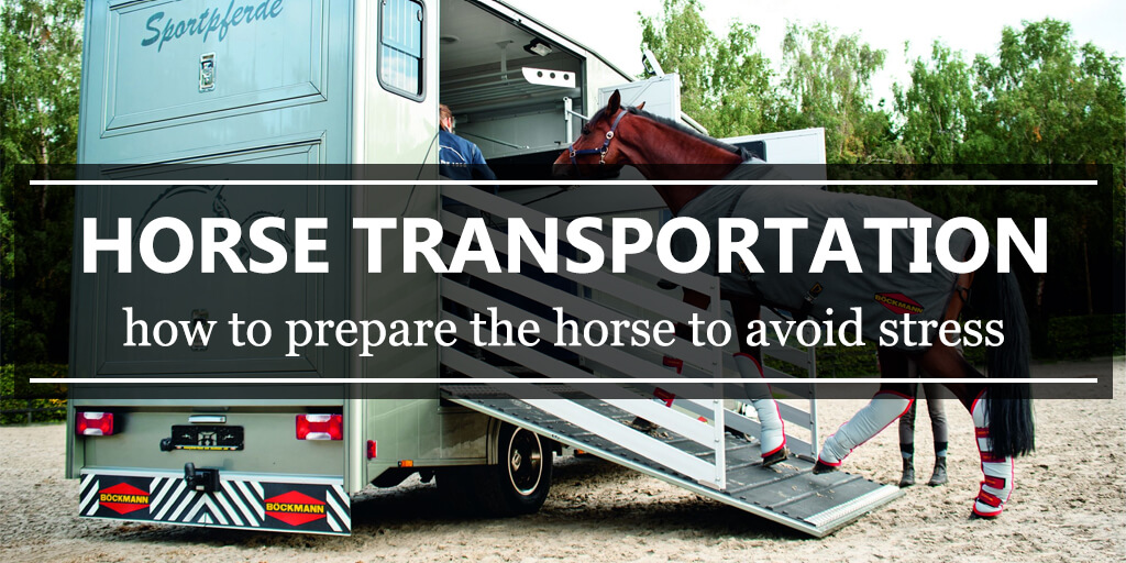 Horse transportation - how to prepare the horse to avoid stress