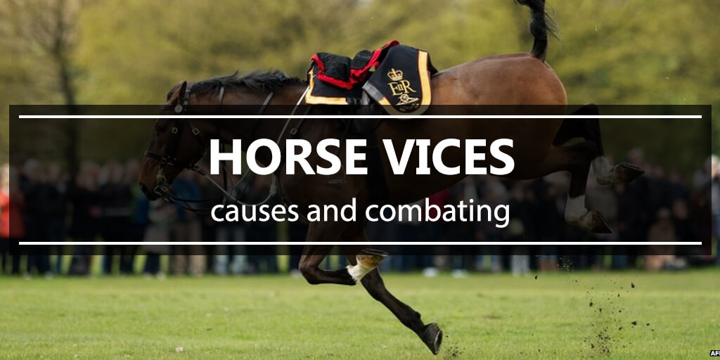 Horse vices - causes and combating
