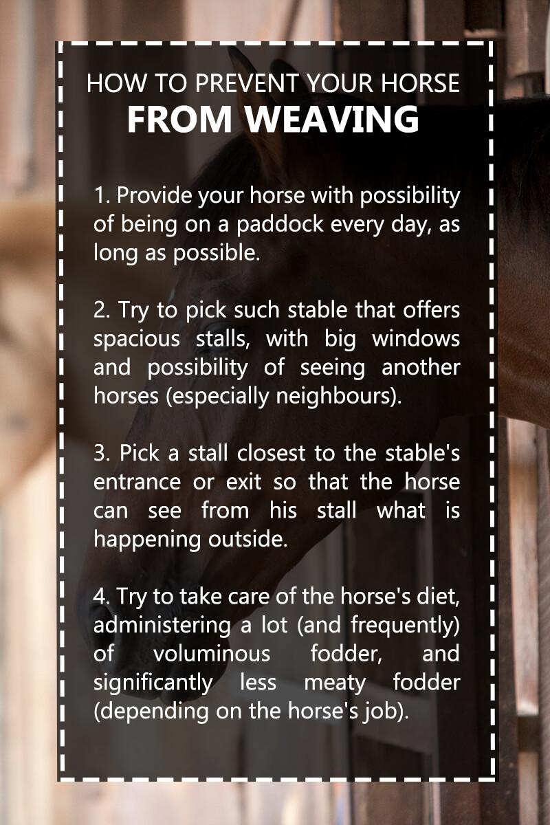 how to prevent your horse from weaving