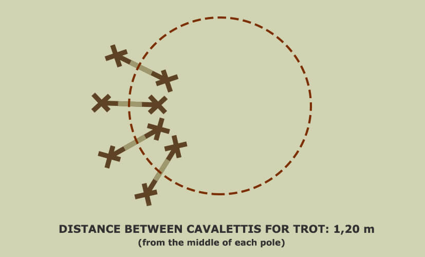 distance for a trot - circle