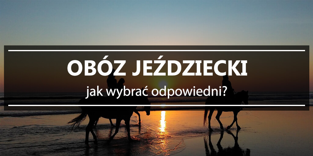 obóz jeździecki jak wybrać odpowiedni