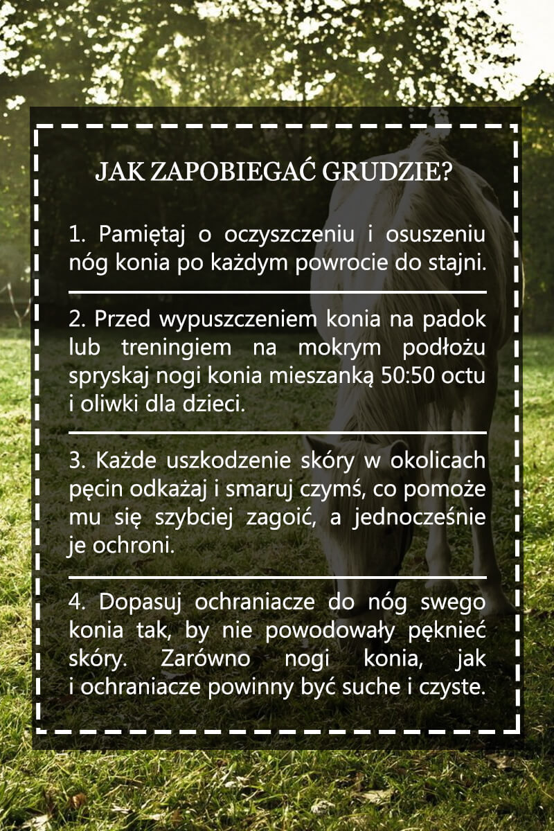 Jak zapobiegać grudzie?