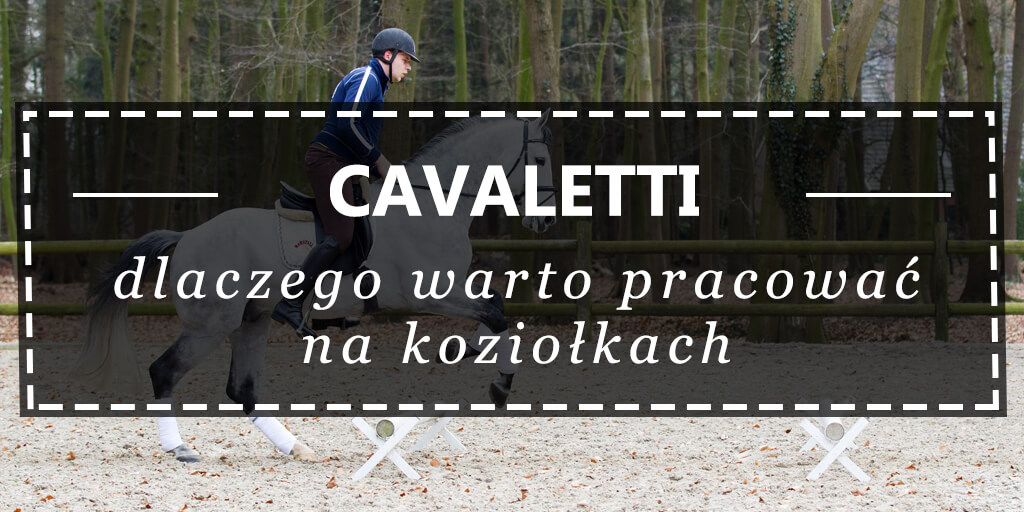 Cavaletti, dlaczego warto pracować na koziołkach