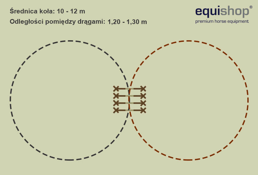 Szereg koziołków - ósemka1