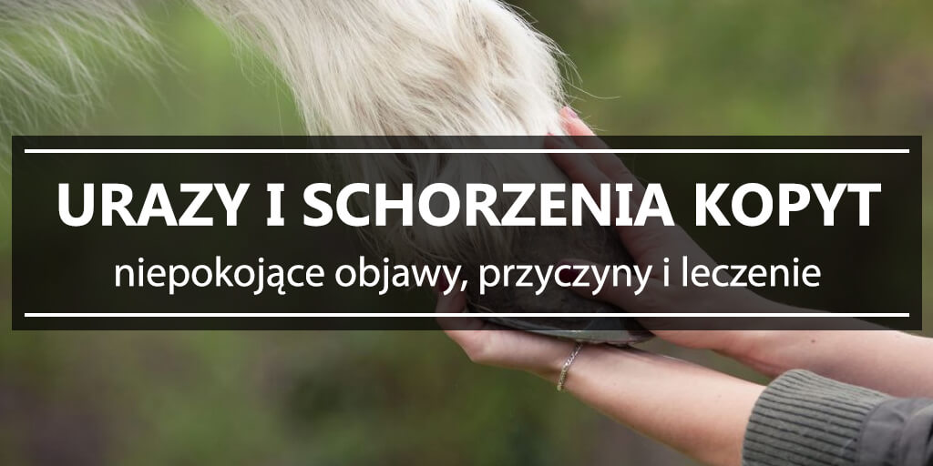 Urazy i schorzenia kopyt - niepokojące objawy przyczyny i leczenie
