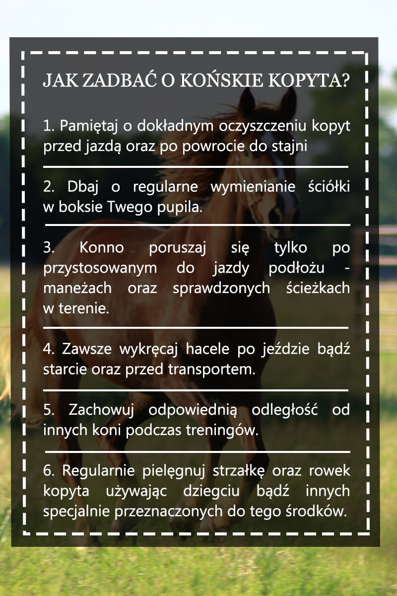 jak zadbać o końskie kopyta