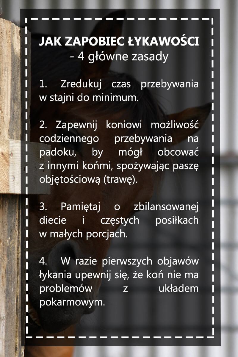 jak zapobiec łykawości - główne zasady